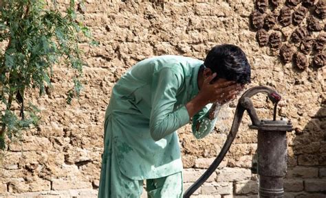 exbree net|One third of children worldwide exposed to extreme heatwaves as .